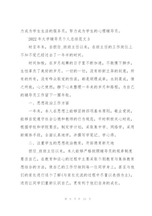 2022年大学辅导员个人总结范文.docx