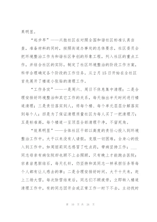 环境整治年终个人工作总结.docx