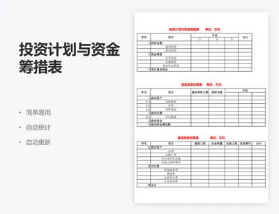 投资计划与资金筹措表