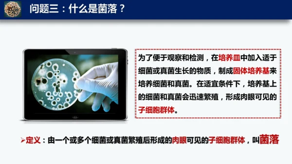 人教版生物七年级上册2.3.1《微生物的分布》课件(共22张PPT)+视频素材