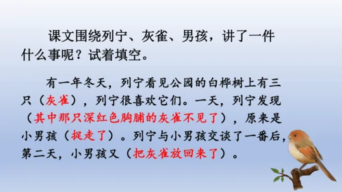 【同步课件】部编版语文三年级上册  25.灰雀（2课时）