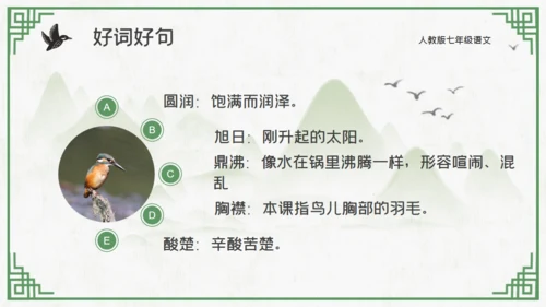 中国山水花鸟山水通用PPT模板