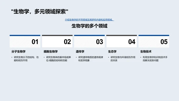 生物现象探析报告PPT模板