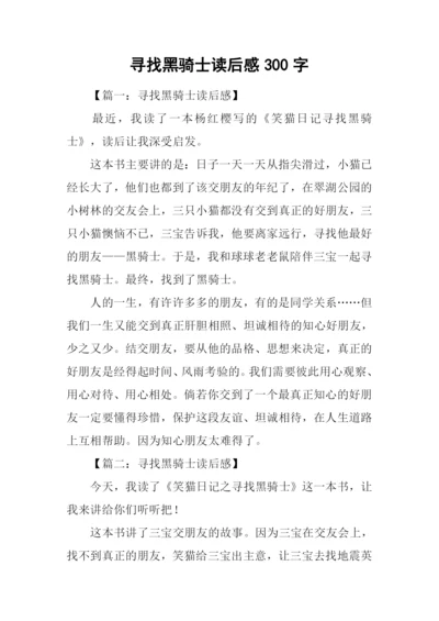 寻找黑骑士读后感300字.docx