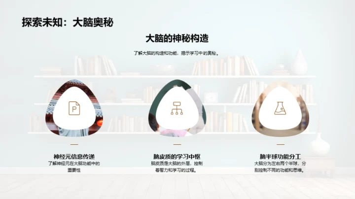 探秘学习的乐园