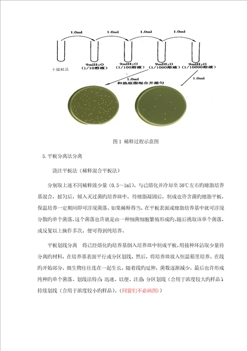 环境关键工程微生物学实验八细菌纯种分离培养和接种重点技术