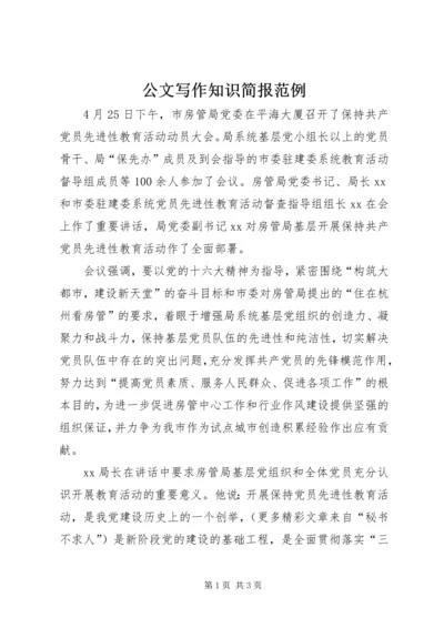 公文写作知识简报范例.docx