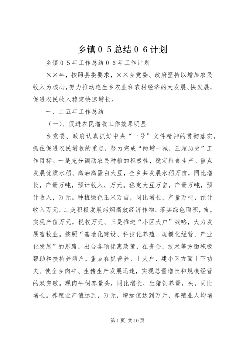乡镇０５总结０６计划.docx