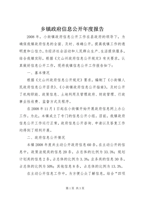 乡镇政府信息公开年度报告.docx