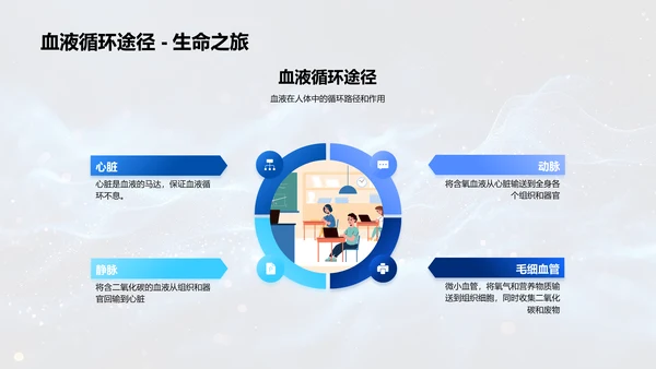 解析人体科学PPT模板