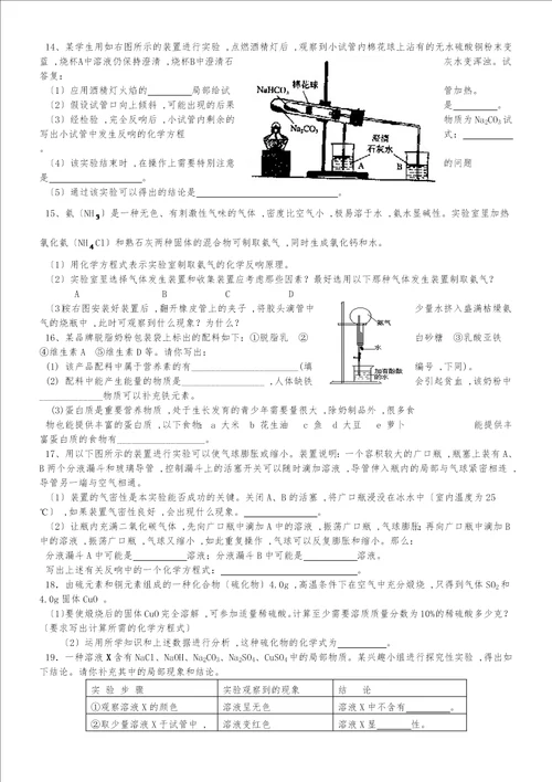 九年级化学探究题