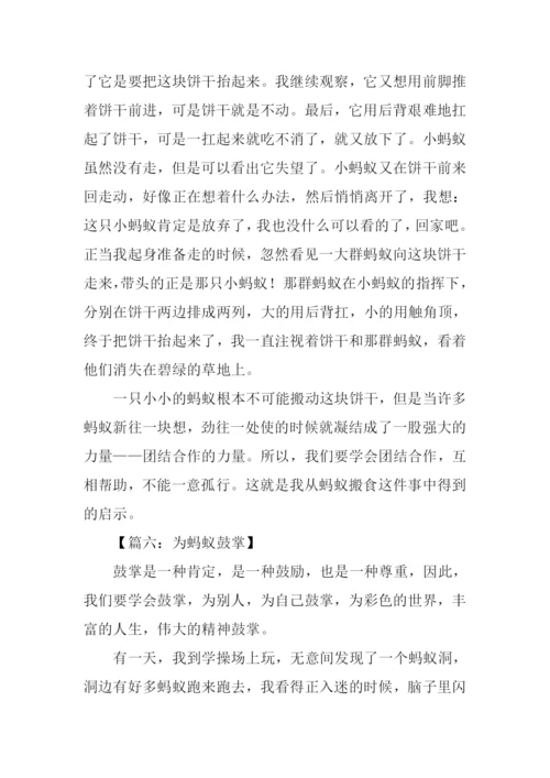 蚂蚁作文-10.docx