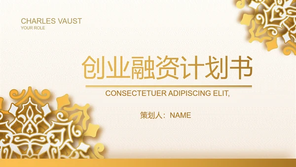 高端霸气创业融资计划书商业计划书PPT模板