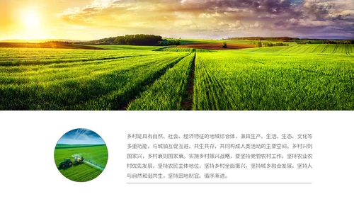 实拍笔刷风格美丽乡村农业介绍新时代农业农村现代化ppt模板