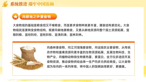 大学生形势与政策保障粮食安全的中国策ppt课件党建