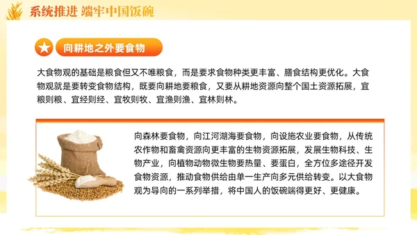 大学生形势与政策保障粮食安全的中国策ppt课件党建