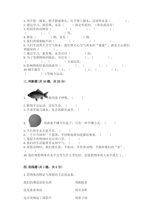教科版一年级下册科学期末测试卷及参考答案（达标题）.docx