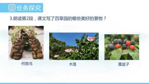 9《从百草园到三味书屋》课件