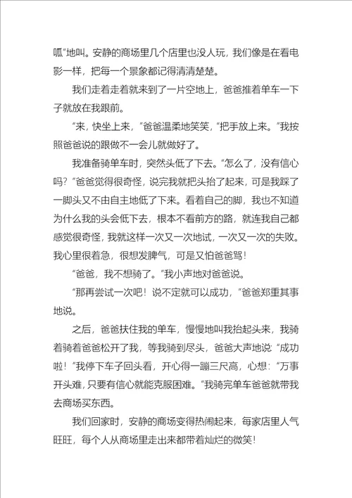 那是一次难忘的尝试作文450字