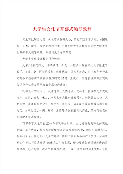 大学生文化节开幕式领导致辞