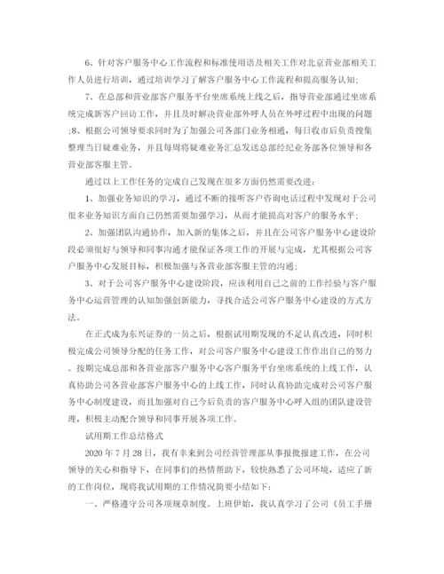 精编之试用期工作总结格式范文.docx