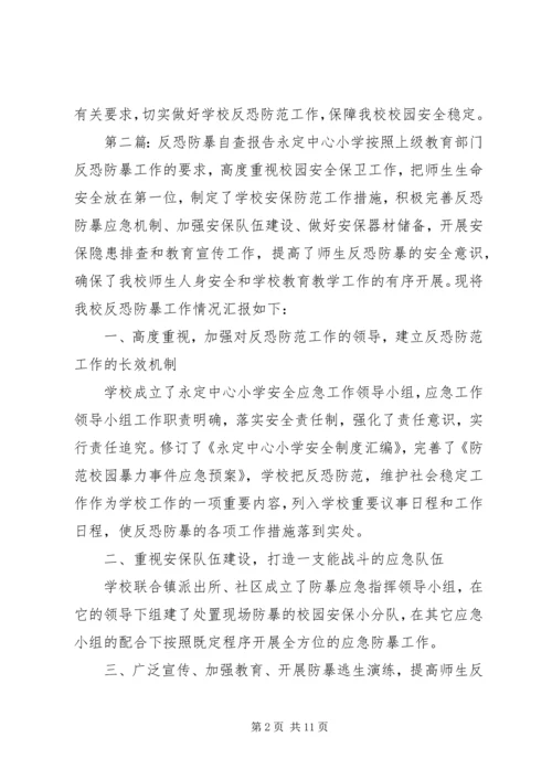 反恐安全自查报告.docx