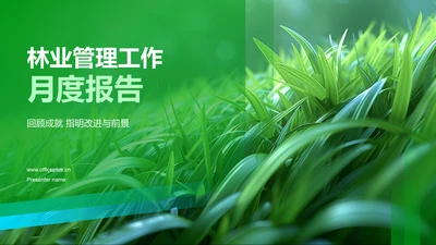 林业管理工作月度报告