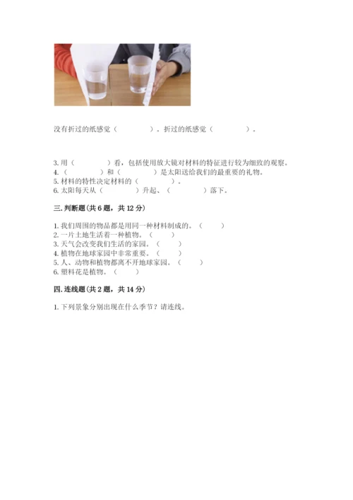 教科版小学二年级上册科学期末测试卷含完整答案【考点梳理】.docx