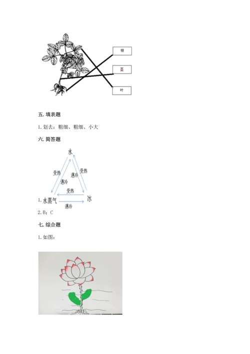 教科版科学一年级上册第一单元《植物》测试卷含完整答案【有一套】.docx