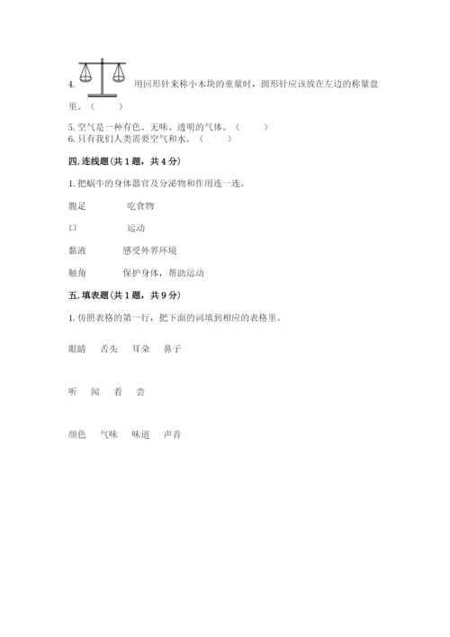 教科版小学科学一年级下册期末测试卷审定版.docx