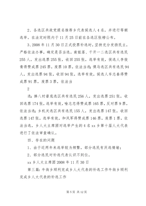 乡人大代表补选工作实施方案.docx