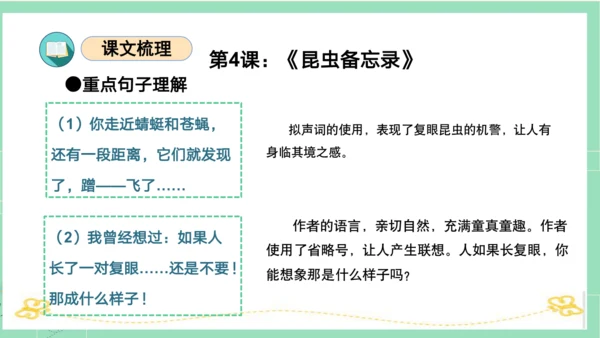 统编版三年级语文下册同步高效课堂系列第一单元（复习课件）