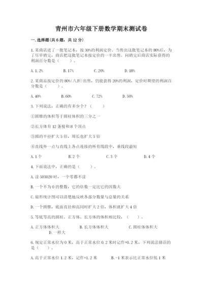 青州市六年级下册数学期末测试卷1套.docx