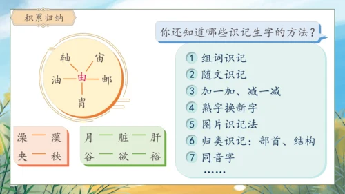 【核心素养】部编版语文四年级下册-语文园地四（课件）