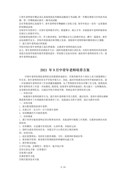 中青年骨干教师培养计划.docx