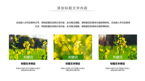 春天乡村旅游油菜花风景油菜花田PPT模板