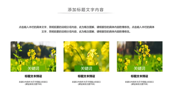 春天乡村旅游油菜花风景油菜花田PPT模板