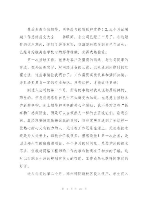 三个月试用期工作总结范文大全（10篇）.docx