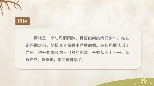 卡通《秘密花园》读书分享汇报PPT模板