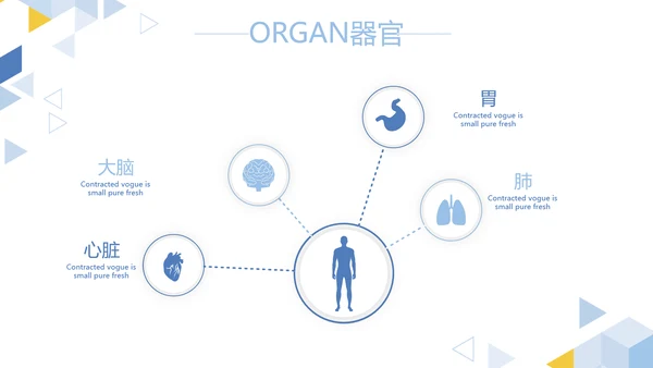 卡通简约医疗医学工作汇报动态PPT模板