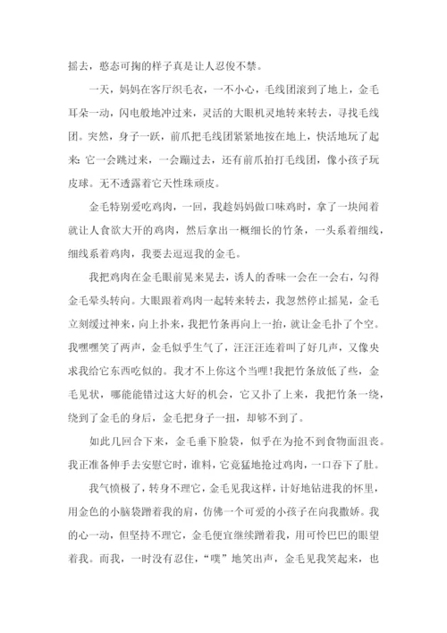 高三写物范文700字5篇.docx