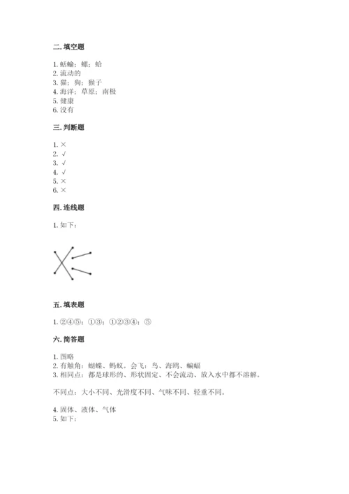 教科版小学科学一年级下册期末测试卷附答案ab卷.docx