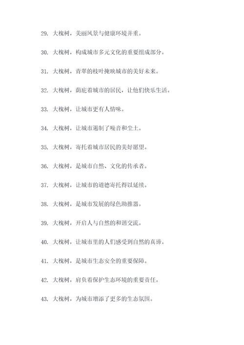 大槐树标语