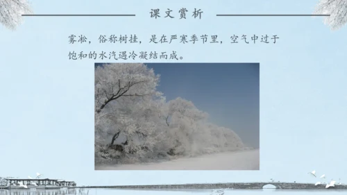 《雾凇》语文课件冬日美景通用PPT模板