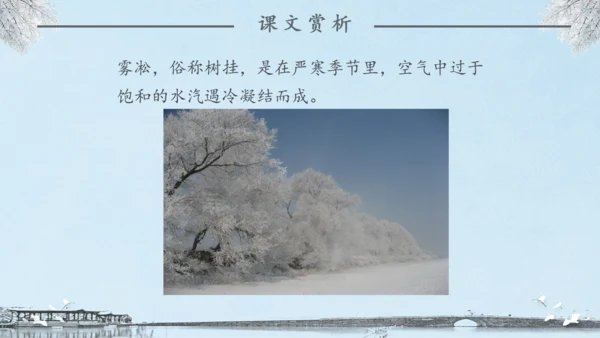 《雾凇》语文课件冬日美景通用PPT模板