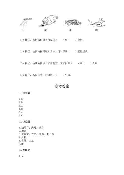 教科版二年级上册科学期末测试卷附参考答案（培优b卷）.docx
