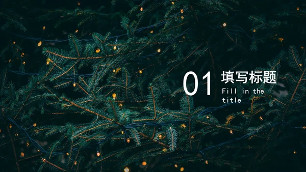 圣诞节活动策划模板