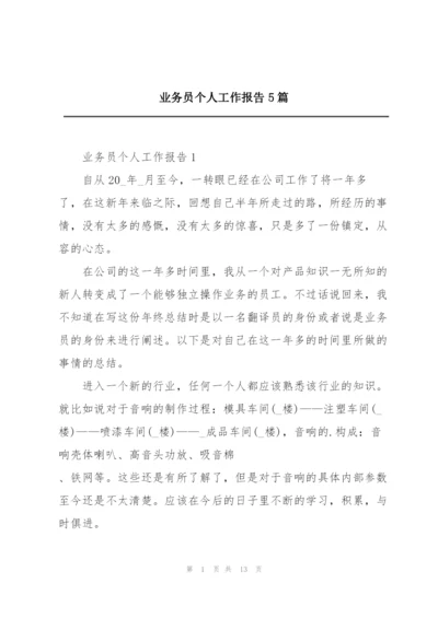 业务员个人工作报告5篇.docx