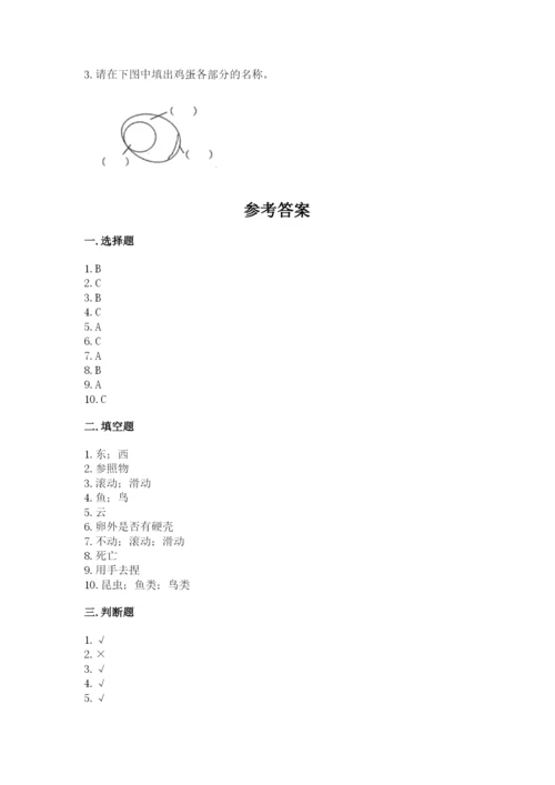 教科版科学三年级下册期末测试卷含完整答案【历年真题】.docx