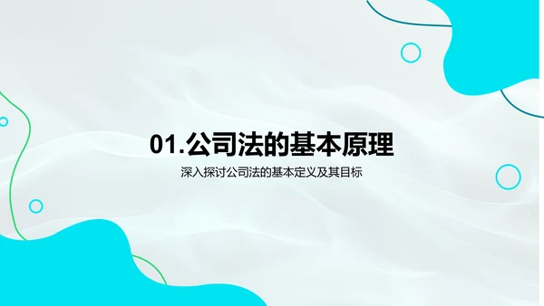 公司法解读报告